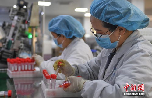 浙江民企春节产能全开生产核酸检测产品