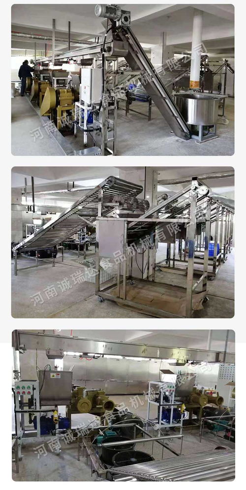 生产米线机器机械 长沙生产米线机器 诚瑞达食品机械